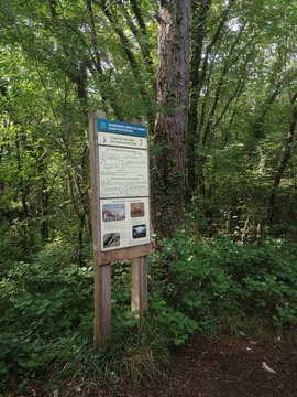 25  Iz Divace v Regijski park Skocjanske jame 2026 06 03